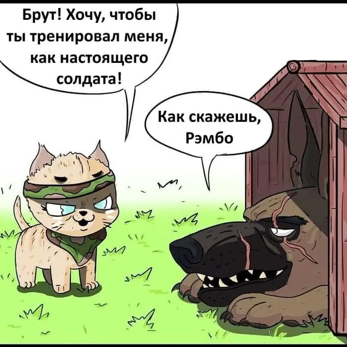 Страница 1