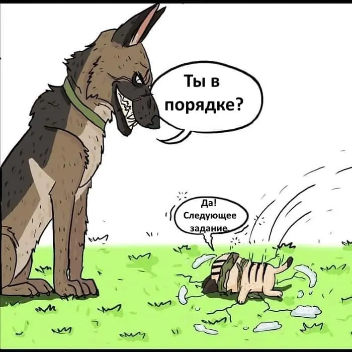 Страница 4