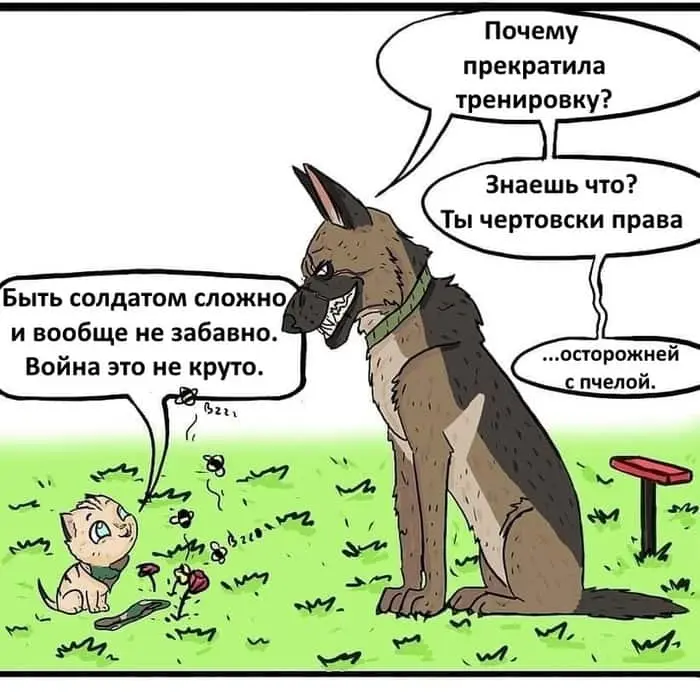 Страница 7