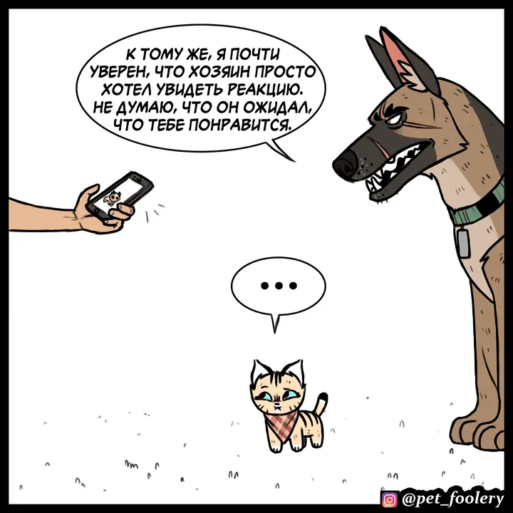 Страница 6