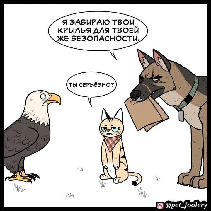 Страница 6