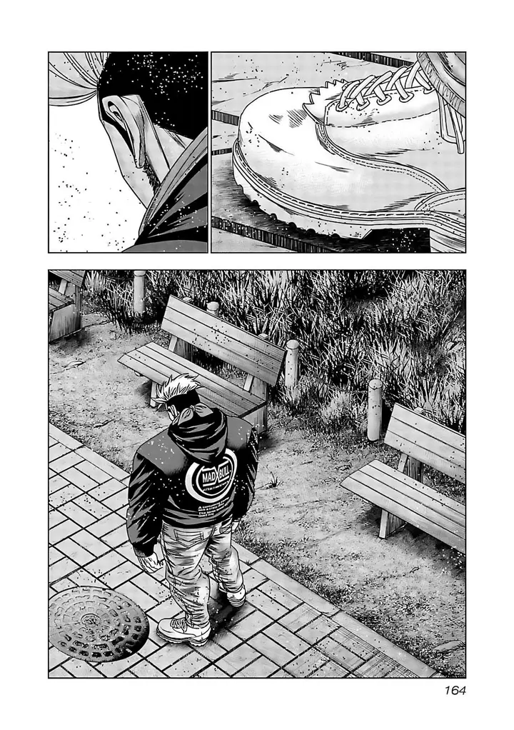 Страница 13