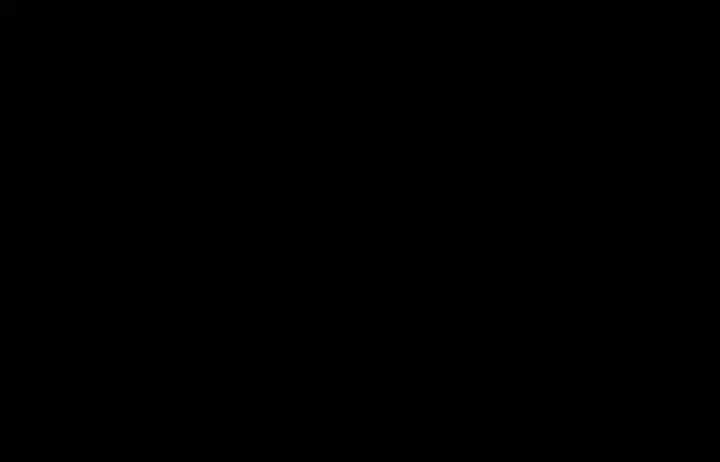 Страница 71