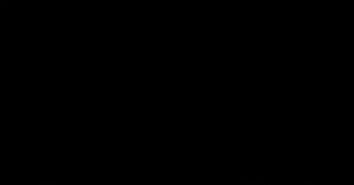 Страница 55